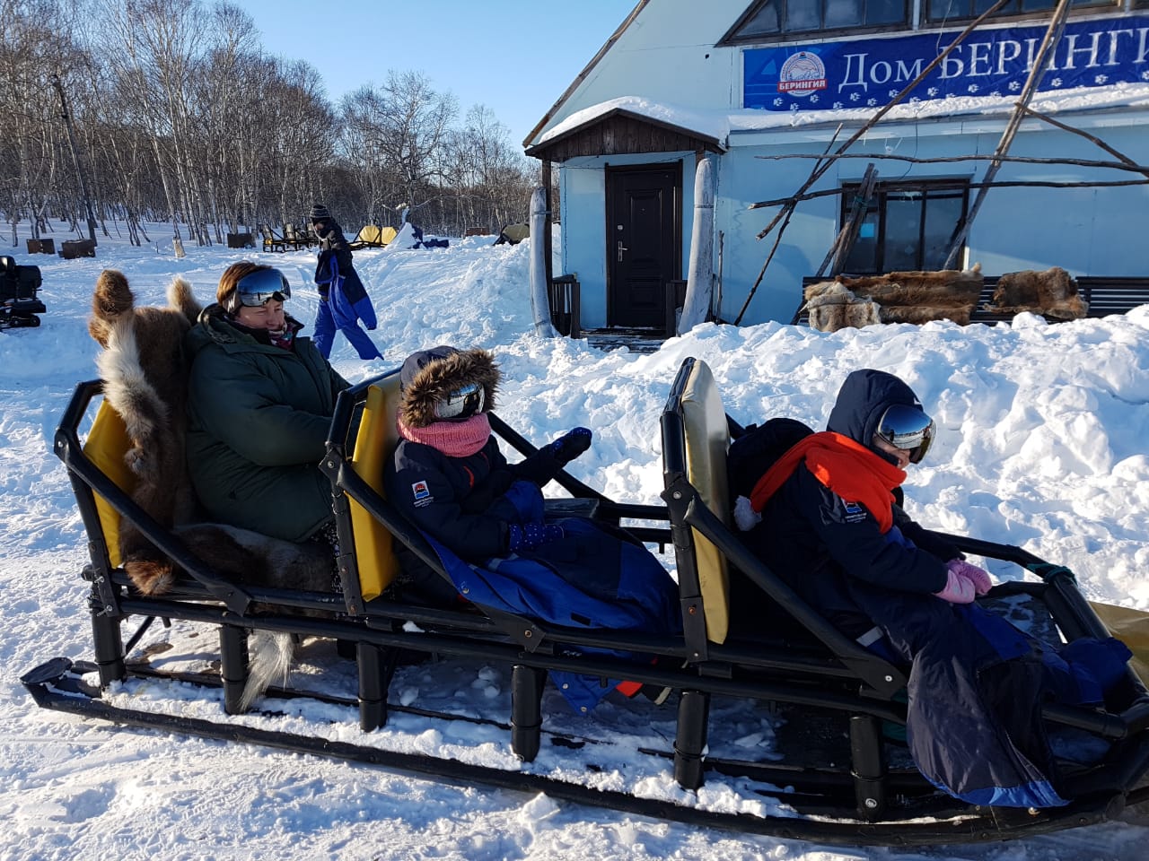 Dog-sledding