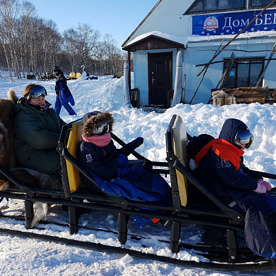 Dog-sledding