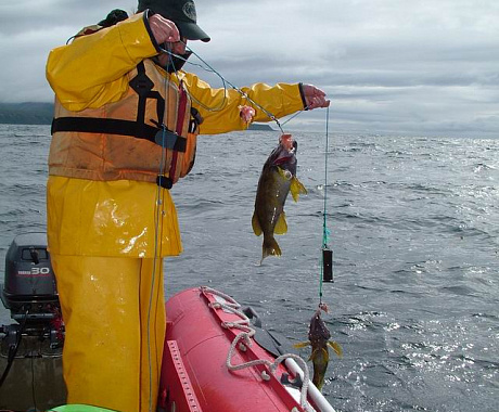 Fishing with rafting  on Bystraya river (8 days/7 nights)
