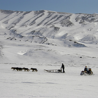 Adventure  on dog-sleds  to the upper  part  of  the river  Kitilgina  of  Milkovsky district, Central Kamchatka