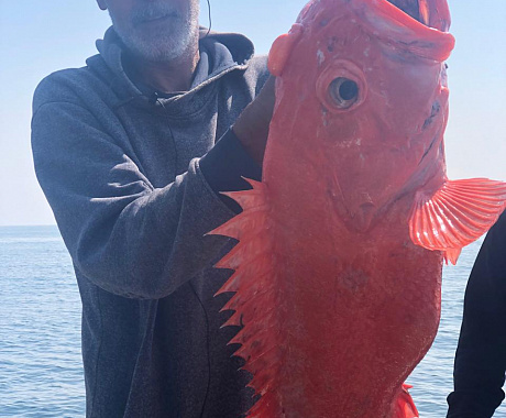 Three  brothers  -  Tikhaya  bay  (3-4  hours)